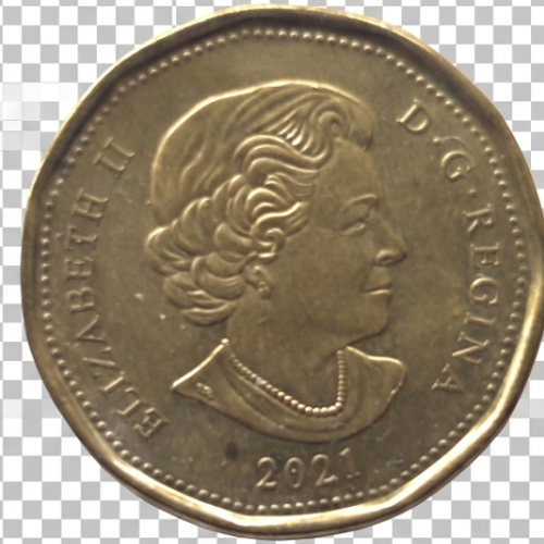 Canadian Loonie Heads Face