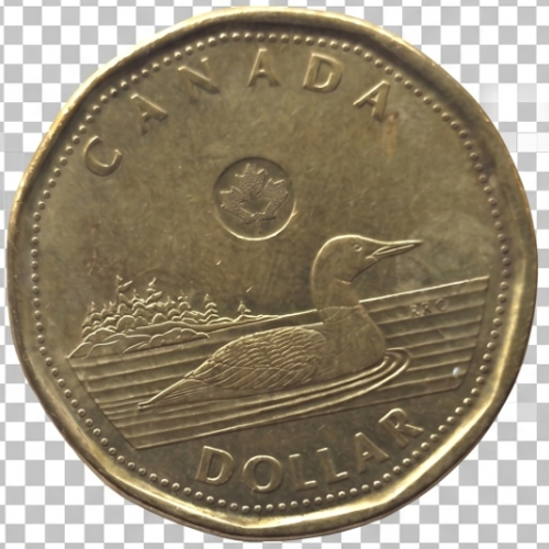Canadian Loonie Tails Face